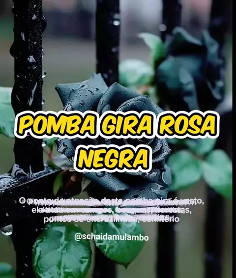 A Pomba Gira Rosa Negra Um Olhar Para A Soberana Kwai