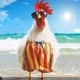Galo de férias
