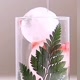 Ice Drink Planet