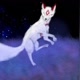 viieevee2469