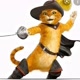 gato_debotasdemaceio