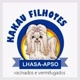Kakaufilhotes