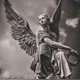 Angelical LTDA