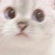 🖤~소리_나아~🖤