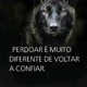 meu nixo aleatório musical 😎