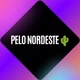Pelo Nordeste 🪗 🎶