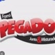 FORRÓ PEGADA BOA💃💃