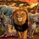 ANIMAL PLANET