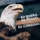 🙏MOTIVAÇÃO56🙏.