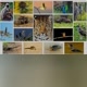 # ANIMAL PLANET#
