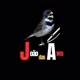 João das Aves