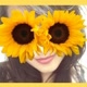 E_Pinheiro
