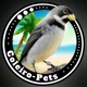 Coleiro Pets