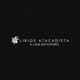 Lirios atacadista