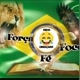 Bora rir