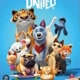 tudo de pets