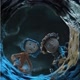 INESQUECIVEIS FILMES