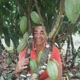 Artista de Quintal (Laro do brejo)