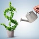 investeEmVC