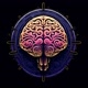 Fanatic Quiz🧠!