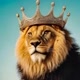 reidaselva🦁