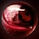 StealthGamerBR