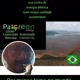 Paigreen licenciado Autorizado 33046