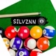 Silvznn Sinuca