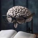 MentVisonaria