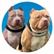 RAGNAR E JUNINHO