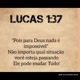Dilma Ferreira381