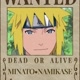 Bruno Minato
