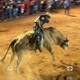 paixão pela montaria🐂🐎