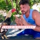 SARUÊCOMEDIA