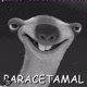 vamos da gargalhadas kkkkk