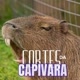Cortes da Capivara