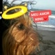 Marliane Silva É LINDO DE VER 🐕🐓🐱