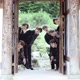 army_dramaskpop
