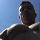 Muscle Pecs