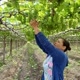 Landia Santos384