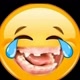 comedy and memes the world