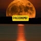 ＠Pagodinmix.