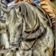 ＠Cavalos_Edits