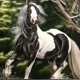 ＠Cavalo_edits