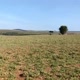 Valdeir