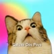＠gatuxodospovs_ofc