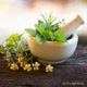 Dicas.rapidas.naturais