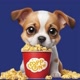 CINE EMOÇÕES