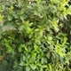 User_1719204279745