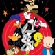 LOONEY  EV